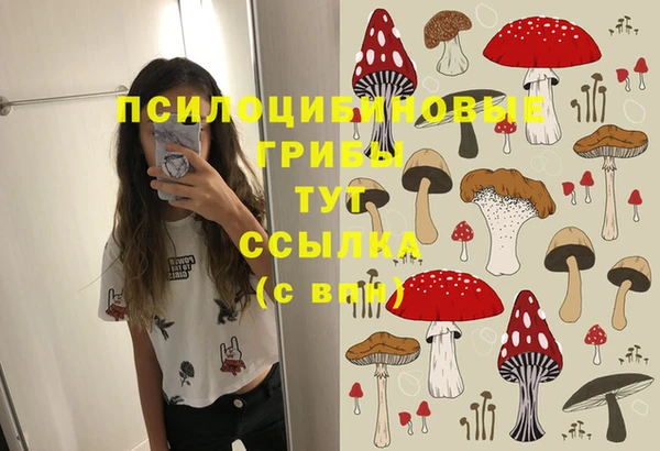мяу мяу мука Мегион