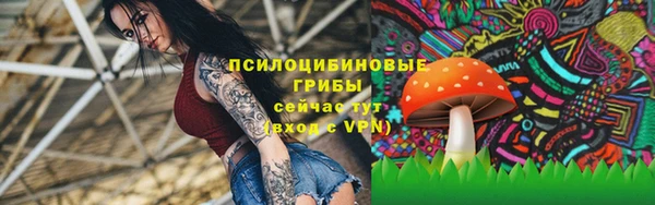 МДМА Медвежьегорск