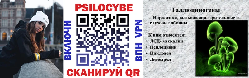 Галлюциногенные грибы Psilocybine cubensis  Пятигорск 