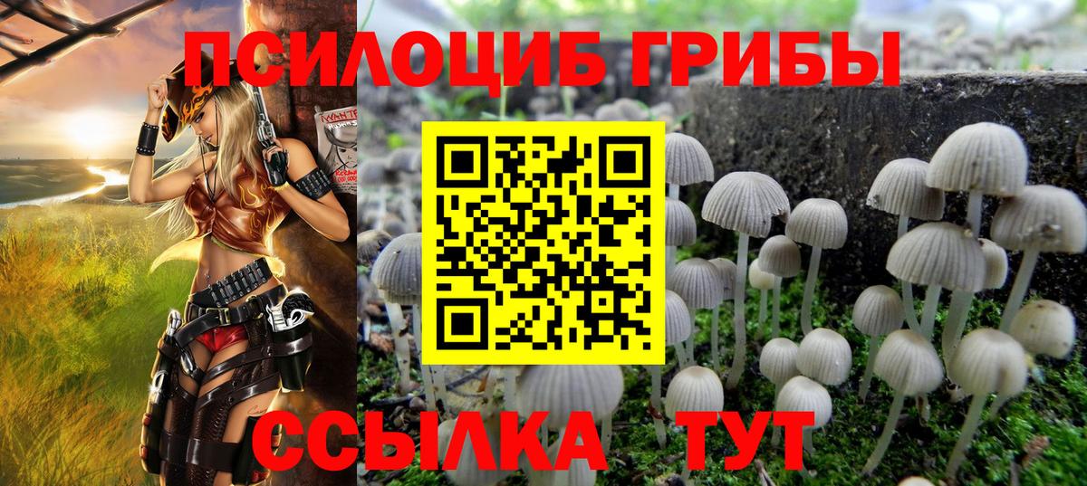 Псилоцибиновые грибы ЛСД  Вход с VPN  Пятигорск  Галлюциногенные грибы Psilocybine cubensis 